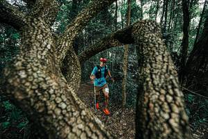 BIB: 
                            <button type="button" onclick="openModal(25392703)" class="btn btn-primary btn-sm float-right btn-popup" data-toggle="modal" data-target=".modal-high-quality">
                        <i class="fas fa-shopping-cart"></i> Add to Cart
                    </button>
                                            <button type="button" onclick="isThisMe(25392703, true)" class="btn btn-success btn-sm float-right btn-popup btn-isme hidden" data-toggle="tooltip" data-placement="bottom" title="นี่คือรูปของคุณใช่ไหม คลิกที่นี่เพื่อเอาเข้าอัลบั้ม">
                        <i class="fas fa-plus"></i> Add to album
                    </button>
                    <button type="button" onclick="isThisMe(25392703, false)" class="btn btn-warning btn-sm float-right btn-popup btn-isnotme hidden">
                        <i class="fas fa-ban"></i> Remove from album
                    </button>